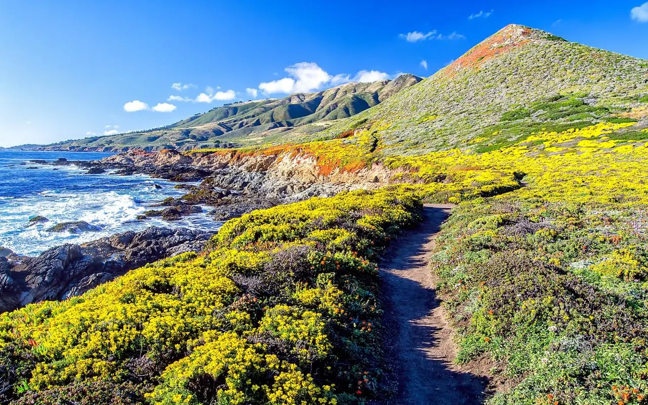 独特网络化无人化